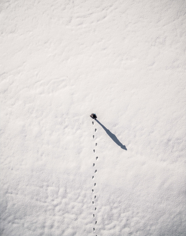 Winter Landscape Winter Landscape