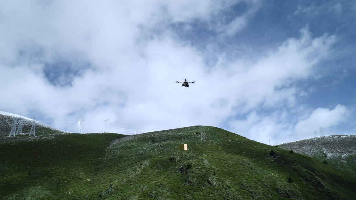 DJI FlyCart 100