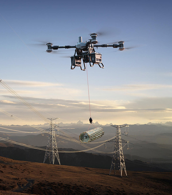 DJI FlyCart 100